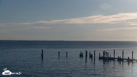 Anna Maria Island Florida Live Webcam - Aug 24, 2026, 8:17am EDT
