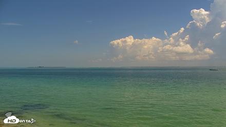 Anna Maria Island Florida Live Webcam - Jun 12, 2026, 11:39am EDT
