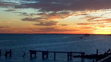 Anna Maria Island Florida Live Webcam - Dec 13, 2025, 7:13am EST