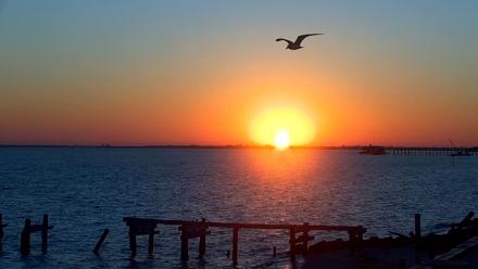Anna Maria Island Florida Live Webcam - Feb 6, 2026, 7:18am EST
