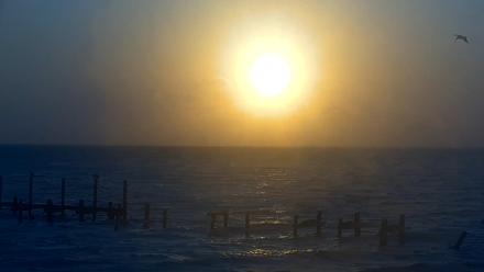 Anna Maria Island Florida Live Webcam - Mar 25, 2026, 7:47am EDT