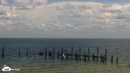 Anna Maria Island Florida Live Webcam - Aug 6, 2026, 12:53pm EDT