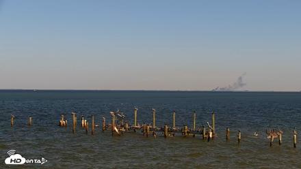 Anna Maria Island Florida Live Webcam - Oct 12, 2026, 3:05pm EDT