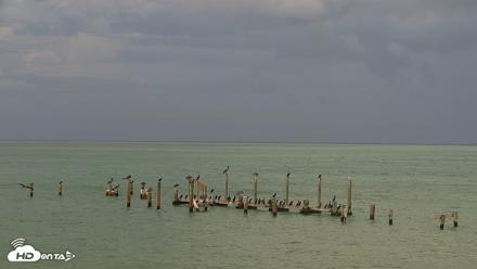 Anna Maria Island Florida Live Webcam - Jul 20, 2026, 5:31pm EDT