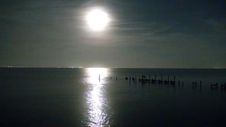 Anna Maria Island Florida Live Webcam - Dec 5, 2025, 7:25pm EST
