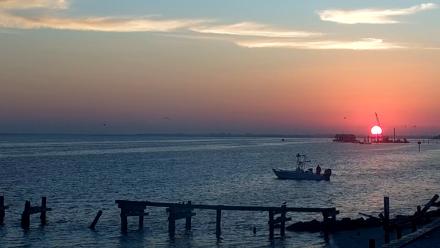 Anna Maria Island Florida Live Webcam - Nov 25, 2025, 7:03am EST