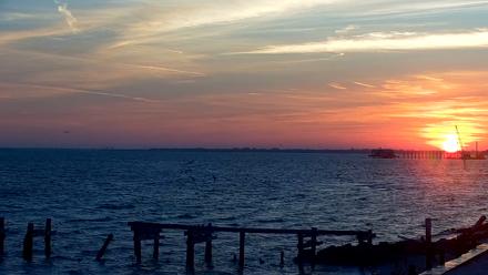 Anna Maria Island Florida Live Webcam - Dec 4, 2025, 7:10am EST