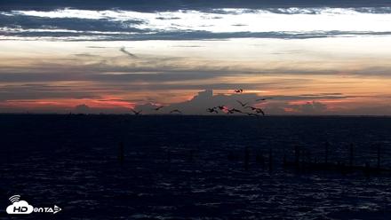 Anna Maria Island Florida Live Webcam - Aug 6, 2026, 6:46am EDT