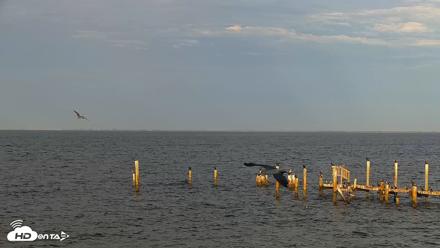 Anna Maria Island Florida Live Webcam - Sep 23, 2026, 6:31pm EDT
