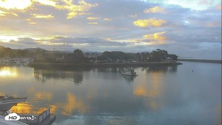 Dana Point Harbor Laguna Cliffs Resort Live Webcam - May 29, 2026, 5:55am PDT