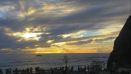 Dana Point Harbor Laguna Cliffs Resort Live Webcam - Jan 1, 2026, 4:31pm PST