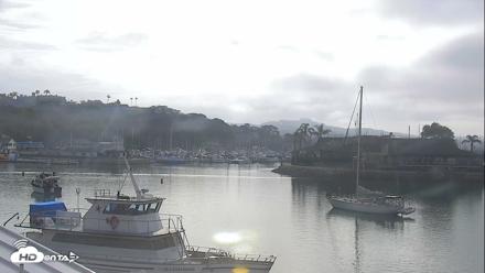 Dana Point Harbor Laguna Cliffs Resort Live Webcam - Jun 12, 2026, 7:51am PDT