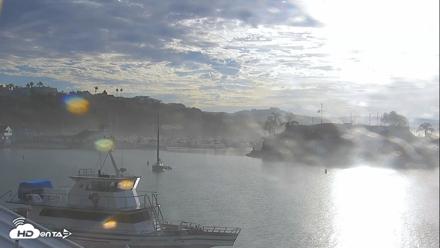 Dana Point Harbor Laguna Cliffs Resort Live Webcam - Sep 8, 2026, 7:41am PDT