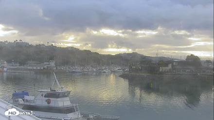 Dana Point Harbor Laguna Cliffs Resort Live Webcam - May 29, 2026, 6:47am PDT