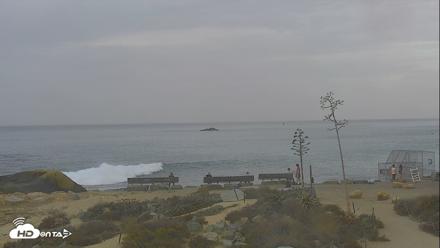 Dana Point Harbor Laguna Cliffs Resort Live Webcam - Oct 17, 2026, 7:46am PDT