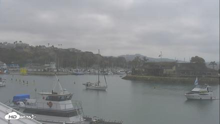 Dana Point Harbor Laguna Cliffs Resort Live Webcam - Jul 3, 2026, 9:48am PDT