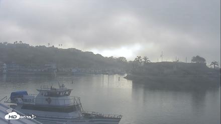 Dana Point Harbor Laguna Cliffs Resort Live Webcam - Aug 24, 2026, 7:50am PDT