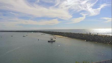 Dana Point Harbor Laguna Cliffs Resort Live Webcam - Jan 18, 2026, 12:28pm PST