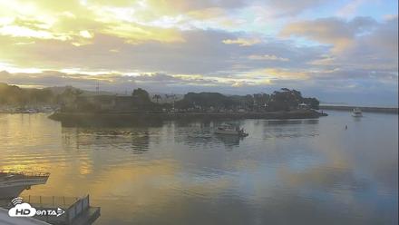 Dana Point Harbor Laguna Cliffs Resort Live Webcam - May 29, 2026, 6:01am PDT