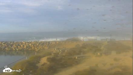 Dana Point Harbor Laguna Cliffs Resort Live Webcam - Sep 8, 2026, 7:38am PDT