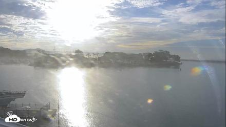 Dana Point Harbor Laguna Cliffs Resort Live Webcam - Sep 8, 2026, 7:42am PDT