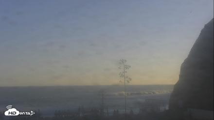 Dana Point Harbor Laguna Cliffs Resort Live Webcam - Aug 15, 2026, 6:50pm PDT