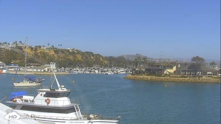 Dana Point Harbor Laguna Cliffs Resort Live Webcam - Sep 1, 2026, 3:31pm PDT