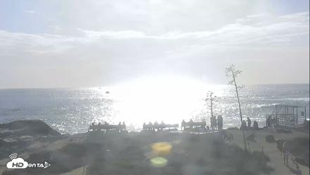 Dana Point Harbor Laguna Cliffs Resort Live Webcam - Oct 17, 2026, 4:12pm PDT