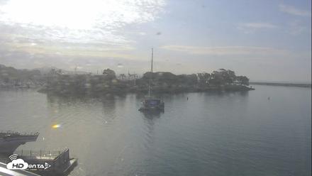 Dana Point Harbor Laguna Cliffs Resort Live Webcam - Jul 21, 2026, 8:07am PDT