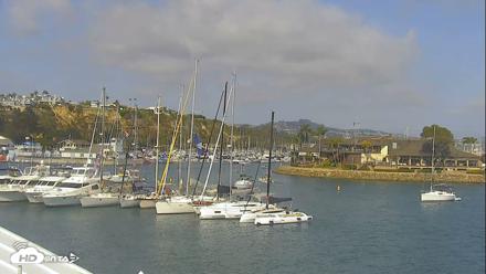 Dana Point Harbor Laguna Cliffs Resort Live Webcam - May 23, 2026, 4:36pm PDT