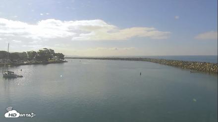Dana Point Harbor Laguna Cliffs Resort Live Webcam - Sep 3, 2026, 9:09am PDT