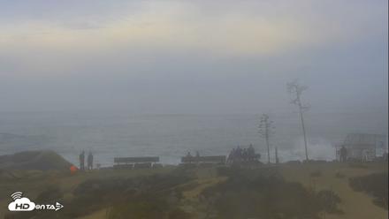 Dana Point Harbor Laguna Cliffs Resort Live Webcam - Oct 10, 2026, 7:19am PDT