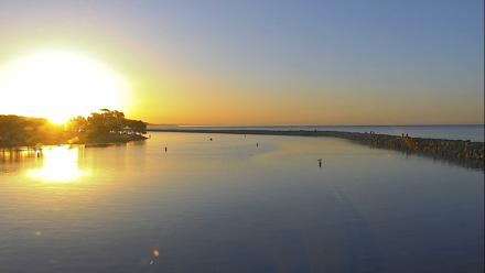 Dana Point Harbor Laguna Cliffs Resort Live Webcam - Jan 31, 2026, 7:02am PST