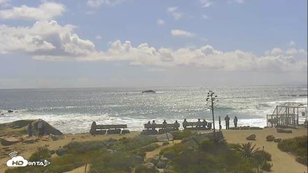 Dana Point Harbor Laguna Cliffs Resort Live Webcam - Apr 13, 2026, 3:12pm PDT