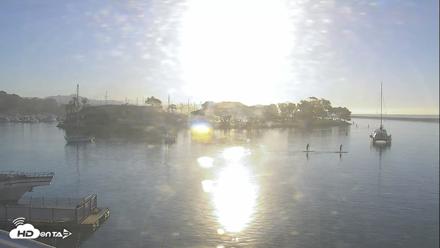 Dana Point Harbor Laguna Cliffs Resort Live Webcam - Oct 8, 2026, 8:01am PDT