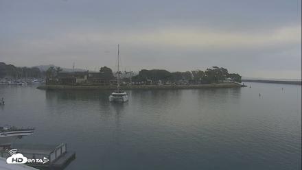 Dana Point Harbor Laguna Cliffs Resort Live Webcam - Jun 24, 2026, 7:49am PDT