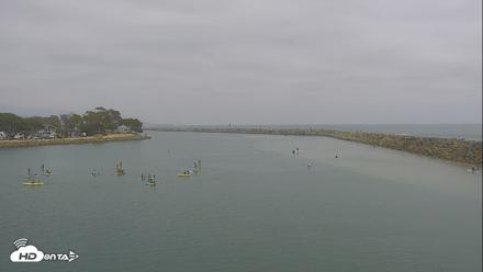 Dana Point Harbor Laguna Cliffs Resort Live Webcam - Jun 24, 2026, 2:30pm PDT