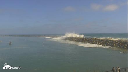 Dana Point Harbor Laguna Cliffs Resort Live Webcam - Jun 9, 2026, 3:54pm PDT