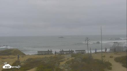 Dana Point Harbor Laguna Cliffs Resort Live Webcam - Jun 18, 2026, 9:17am PDT