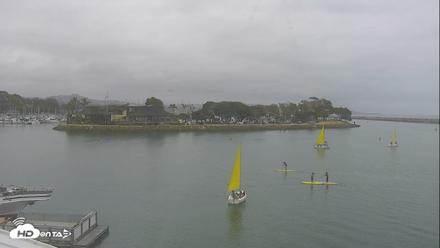 Dana Point Harbor Laguna Cliffs Resort Live Webcam - Jul 2, 2026, 9:38am PDT
