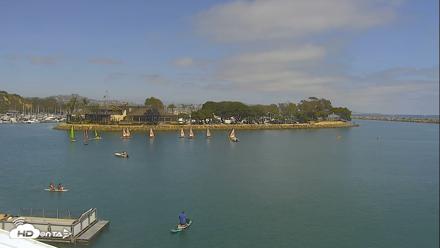 Dana Point Harbor Laguna Cliffs Resort Live Webcam - Jun 17, 2026, 2:41pm PDT