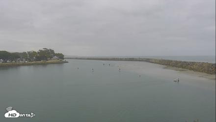 Dana Point Harbor Laguna Cliffs Resort Live Webcam - Jun 8, 2026, 8:02am PDT