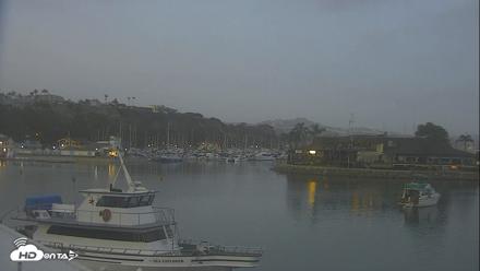 Dana Point Harbor Laguna Cliffs Resort Live Webcam - Jun 1, 2026, 8:10pm PDT