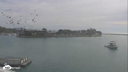 Dana Point Harbor Laguna Cliffs Resort Live Webcam - Oct 10, 2026, 10:43am PDT
