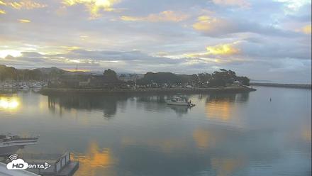 Dana Point Harbor Laguna Cliffs Resort Live Webcam - May 29, 2026, 5:53am PDT