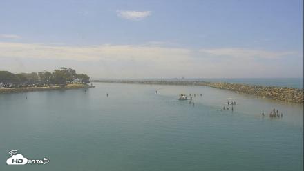 Dana Point Harbor Laguna Cliffs Resort Live Webcam - Jul 21, 2026, 11:07am PDT