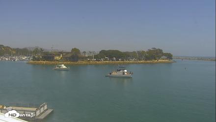 Dana Point Harbor Laguna Cliffs Resort Live Webcam - Jun 1, 2026, 2:00pm PDT