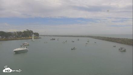 Dana Point Harbor Laguna Cliffs Resort Live Webcam - Sep 7, 2026, 1:54pm PDT