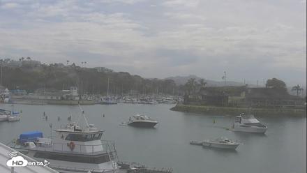 Dana Point Harbor Laguna Cliffs Resort Live Webcam - Jul 4, 2026, 10:15am PDT