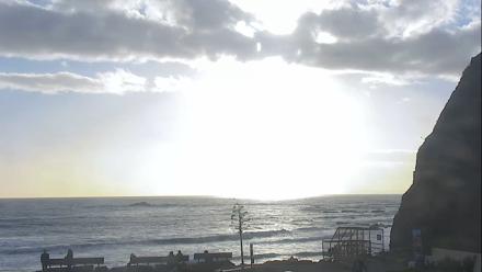 Dana Point Harbor Laguna Cliffs Resort Live Webcam - Feb 17, 2026, 4:38pm PST